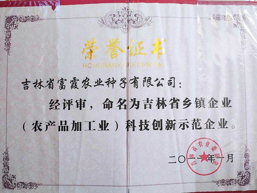 2011 (5).jpg