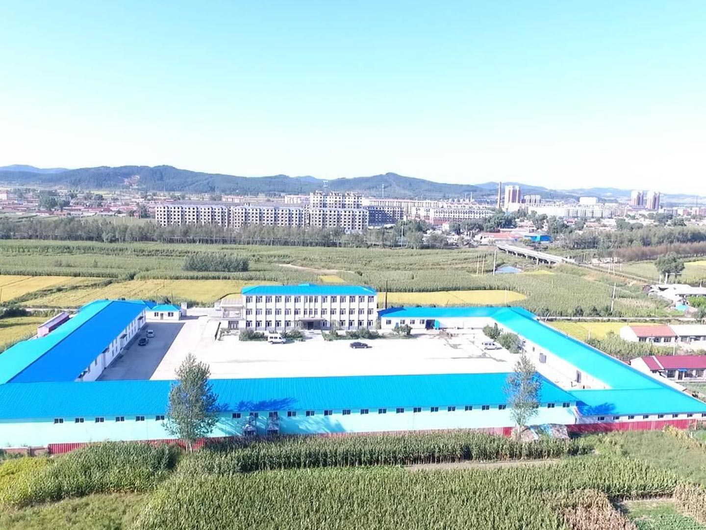 mmexport1509279725015.jpg